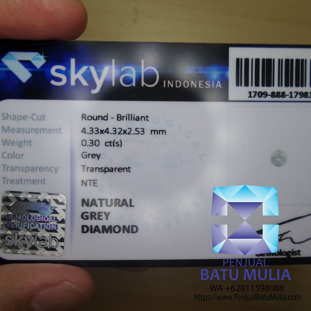 Grey Diamond Berlian warna Grey